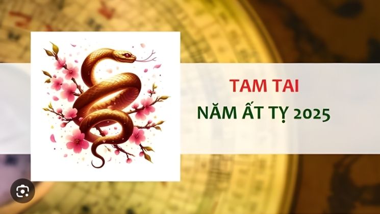 Tam Tai tuổi Tý 2025: Gặp hạn gì, nên làm gì & cách hóa giải